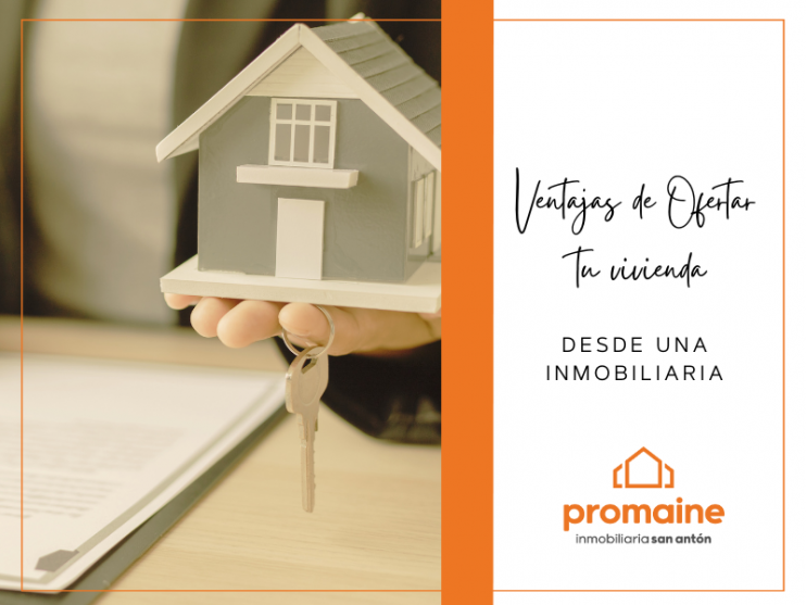 Inmobiliaria Amo